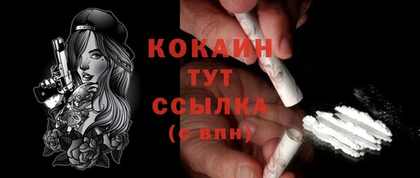 гашик Сатка