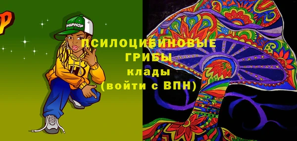 ПСИЛОЦИБИНОВЫЕ ГРИБЫ Абдулино